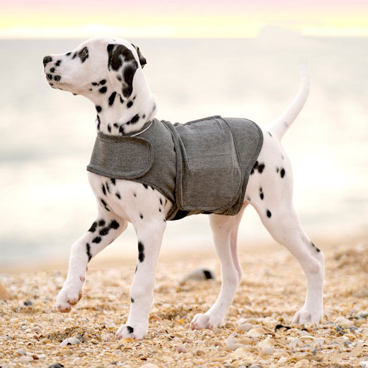 Pet Supplies